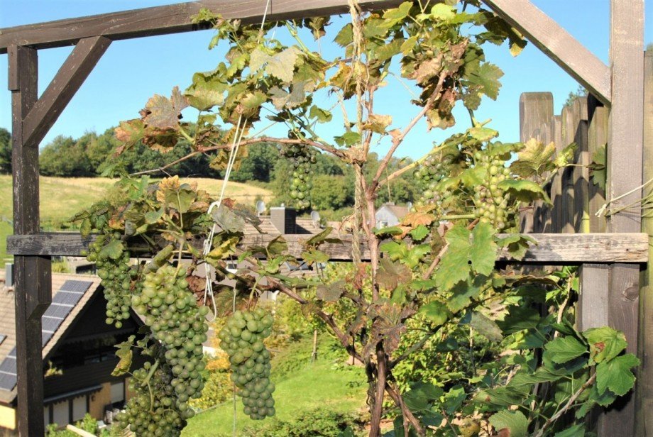 Ein stimmungsvolles Zuhause Dachgeschosswohnung Hattingen