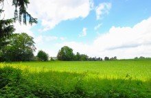 Landschaftliche Umgebung Weitblick mit besten Aussichten im attraktiven Heiligenhaus-Unterilp!