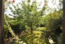 Gartenparadies Willkommen im S�dstadt-Garten! Teilvermietetes Dreifamilienhaus in begehrter Lage