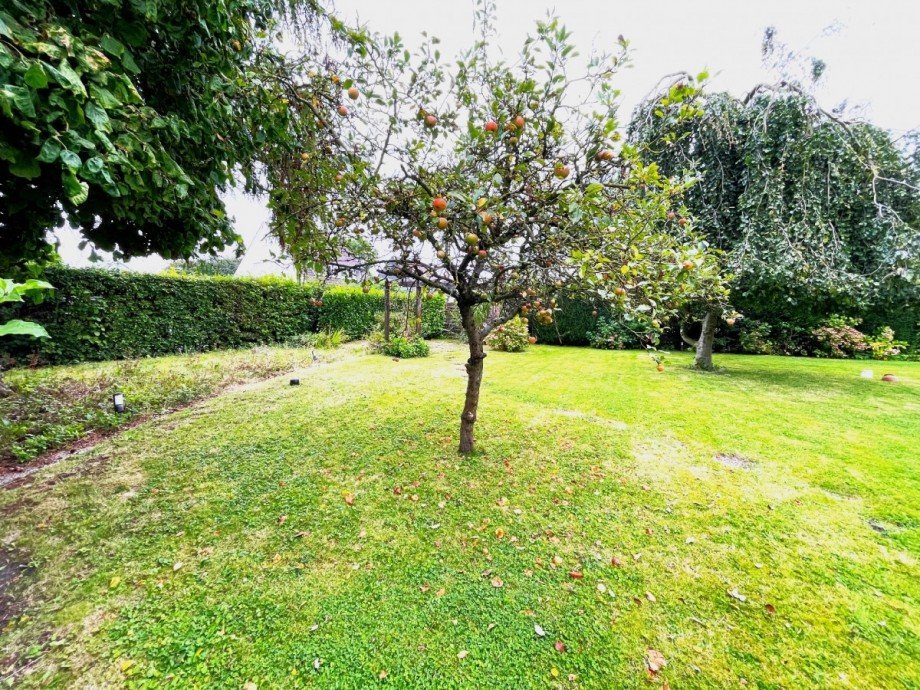 Garten mit Apfelbaum Zweifamilienhaus Kamen