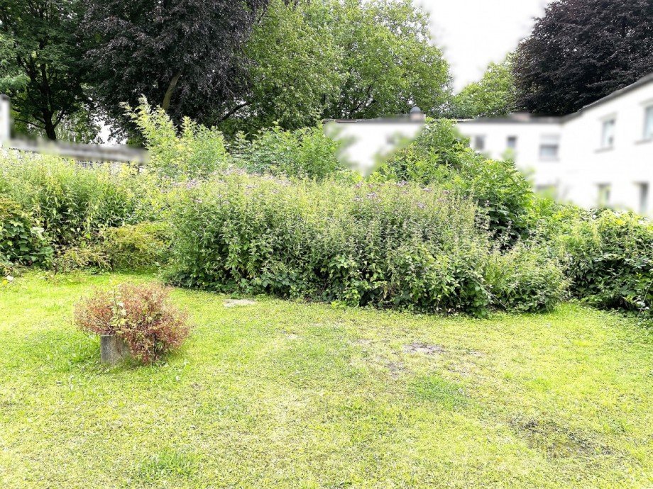 Gartenblick ins Grundst�ck Mehrfamilienhaus Bochum