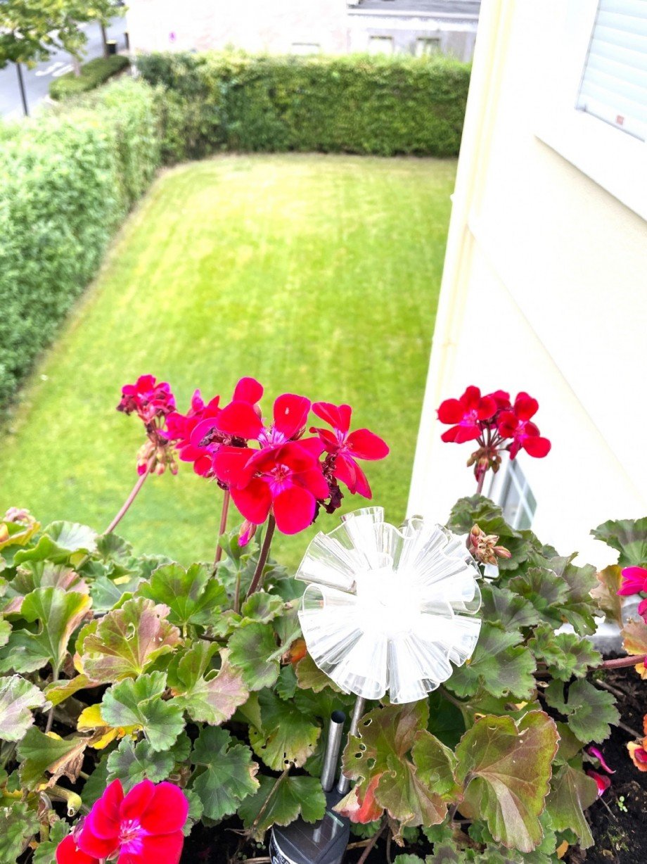 Blick vom Balkon zur Linken Zweifamilienhaus Kamen