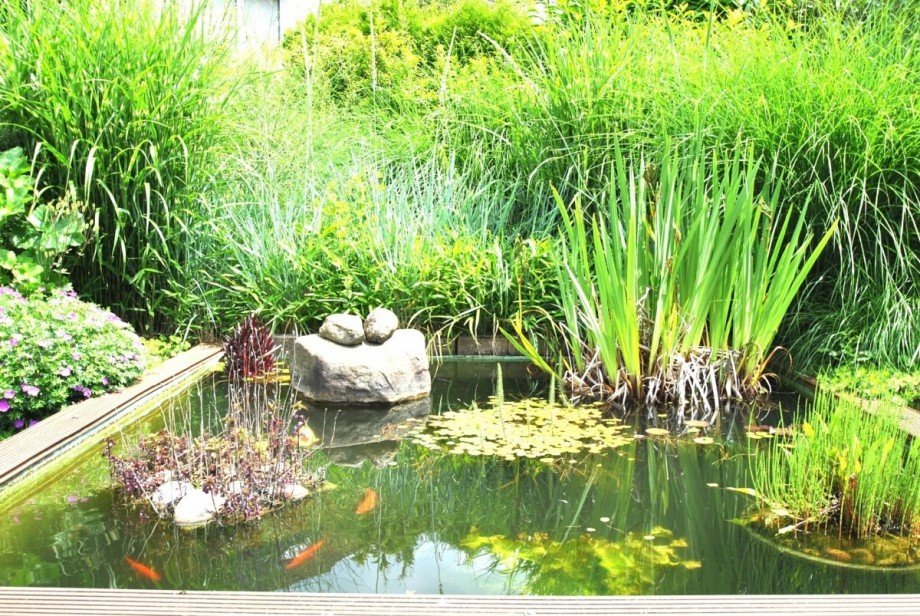 Idyllischer Gartenteich Mehrfamilienhaus Bochum